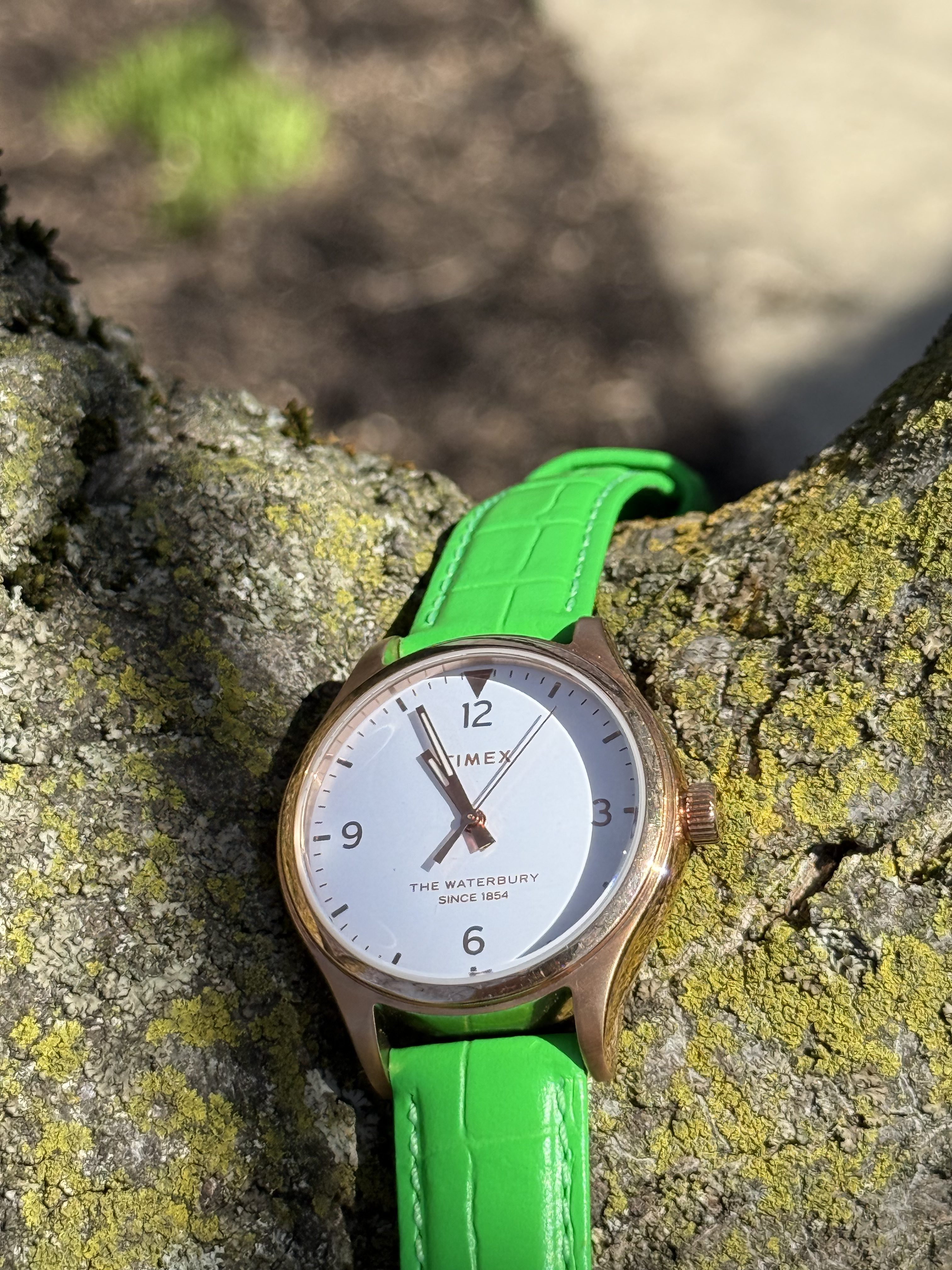 Timex Waterbury TW2R95800 Review: Spring Color in a Small, Sharp Barely Used Watch